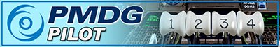 PMDG_Banner_747_Pilot.jpg.e42f15ed1f411496ac3ab49753a8f05f.jpg